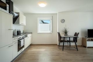 Amsel - Vogelhaus - Friedrichshafen - 7