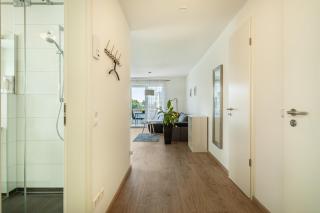 Amsel - Vogelhaus - Friedrichshafen - 2