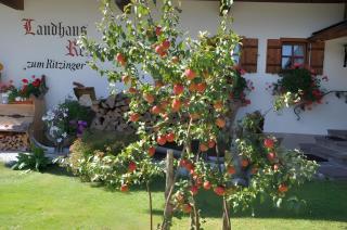 Landhaus Reiser - 9