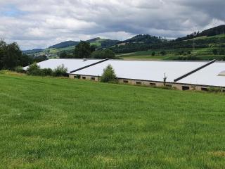 Ferienwohnungen Am Finkenweg - 7