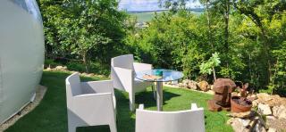 Les Bulles Du Coq De Champagne - 9