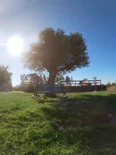 Herdade do Corval - 1