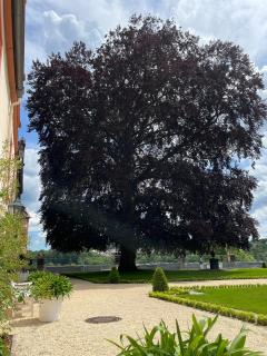 Auf dem Karlsberg - 1