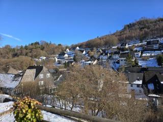 Sauerland Apartments Willingen - 7
