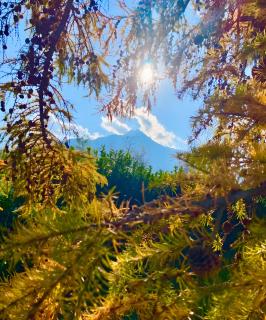 Alpi Liguri - Villa Giulia - Peveragno - 6