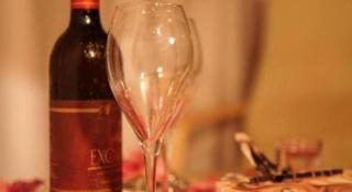 Willmount Geodesic Domes Vagamon - 6