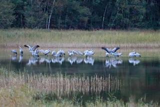 Ferienwohnungen am Federower Hofsee - 4