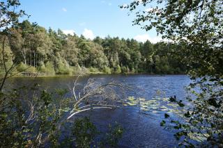 Ferienwohnungen am Federower Hofsee - 3