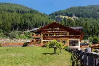 Pension Waldheim Apartments - 5