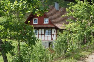 Haus Wiesenruhe - 7
