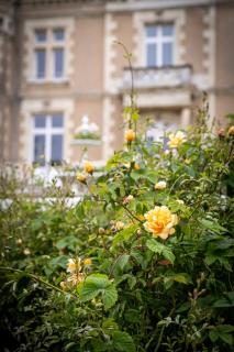 Château Beausoleil - 6
