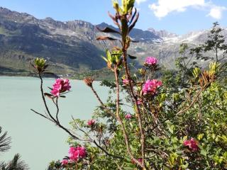 Haus Sabrina Kreuzjoch - 2