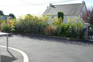 Gite 1 Le Logis des Grenouilles -  - 2