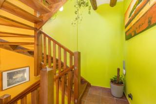 Casa Pirinea - 5