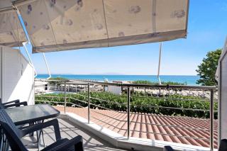 Iguana studio 16 - 9