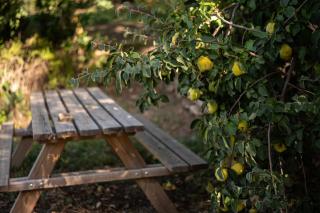 Roccia - Pitigliano - 1