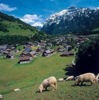 Appartement Moosmann - 2