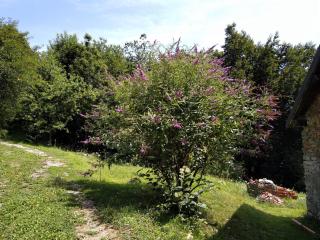 Ca' Rionda - Antica Casa Rurale - 8