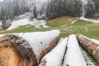 Schwüwong - Apartment 02 - 9