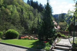 Haus am Waldrand - Triberg - 2