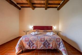 Pianperugino - Arcidosso - 2