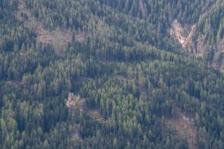 Ronsolhof Hauenstein - 8