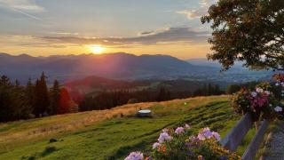 Ferienwohnung Alpenvogel - 7