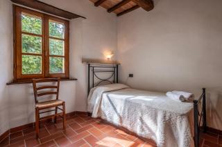 Ginestra - Arcidosso - 1