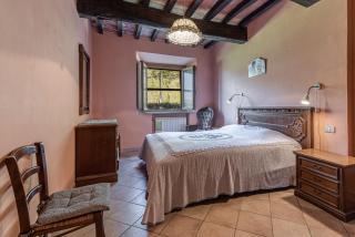 Agriturismo Il Ponte - Frantoio - Vicchio - 7