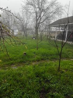 Center,Villa,House Vendam - 5