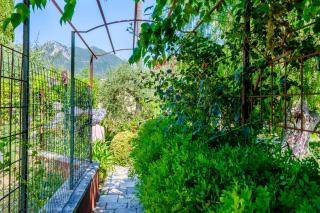 Sous L'olivier - Menton - 2