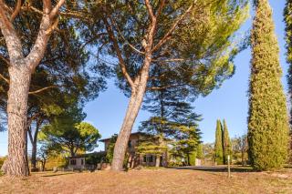 Villa Il Pineto - Art Suite Apartment - 9