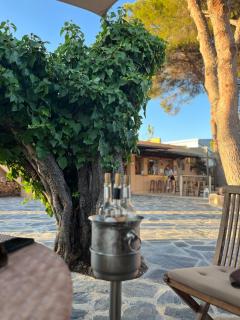 Finca Can Toni - 3