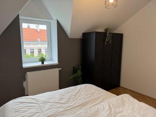 50qm, Schönbrunn, central, balcony, attic - 4