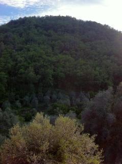 Appartamento Ferla La Taggiasca - 5