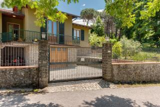 Gigli di Firenze - 1