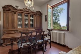 Gigli di Firenze - Rufina - 8