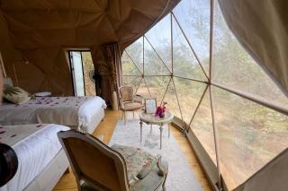 Le Lodge des Papillons - Dôme l'Élan - 5