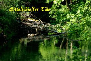 Bantles Parterre Ferienwohnung - 4