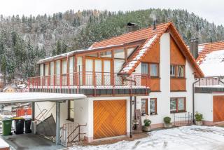 Schwarzwald Nescht Triberg - 9