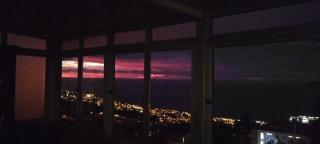 Carros De Cesto Do Monte - 9