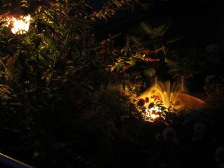 Ferienwohnungen Familie Schwarze - 2