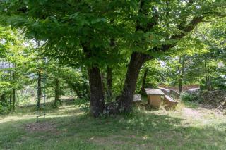 Maisons Cozy - Mas Lachamp - 6