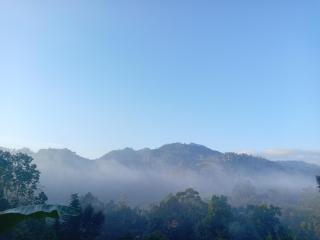 Sapphire rail ridge Ella - 0