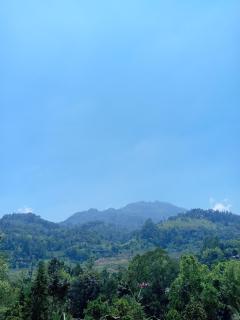 Sapphire rail ridge Ella - 6