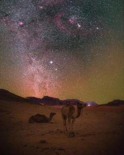 Rock Merzouga Luxury Desert Camp - 0