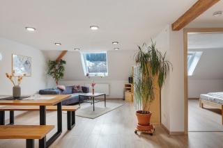 Haus an der Breg - 6