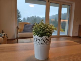 Schwarzwaldblick Rothaus 'Meise' - 3