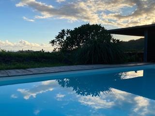 Le zèbre à carreaux - 1