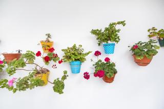 Piso arquillo del reloj - 2